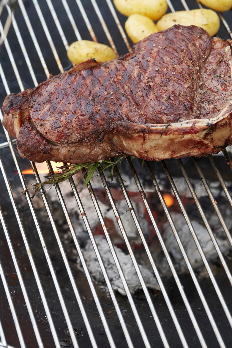Junko Grillrost - Image 8
